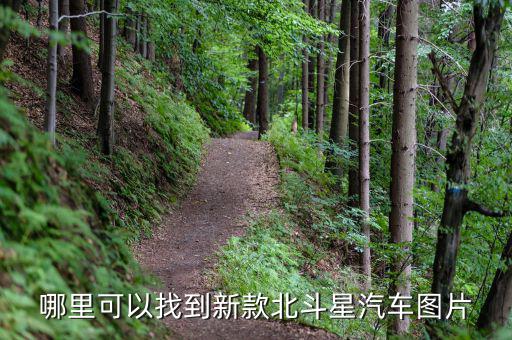 哪里可以找到新款北斗星汽车图片