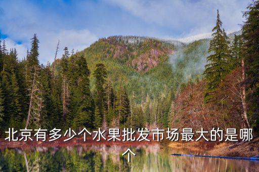 北京有多少个水果批发市场最大的是哪个