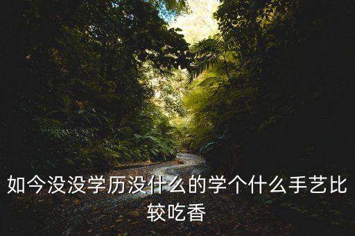 如今没没学历没什么的学个什么手艺比较吃香