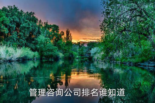 管理咨询公司排名谁知道
