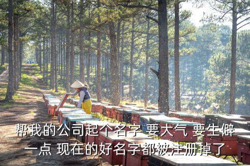 帮我的公司起个名字 要大气 要生僻一点 现在的好名字都被注册掉了