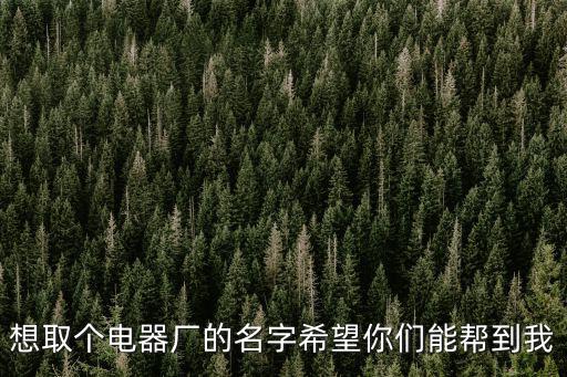 电器公司取名，想取个电器厂的名字希望你们能帮到我