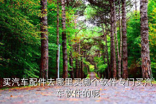 买汽车配件去哪里买哪个软件专门买汽车软件的呢