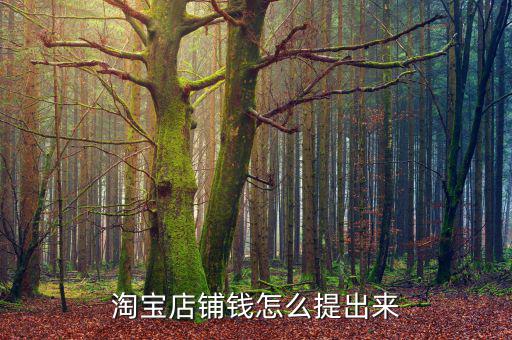 淘宝店铺钱怎么提出来