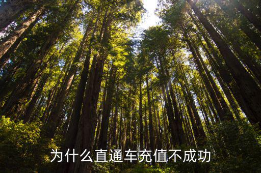 为什么直通车充值不成功