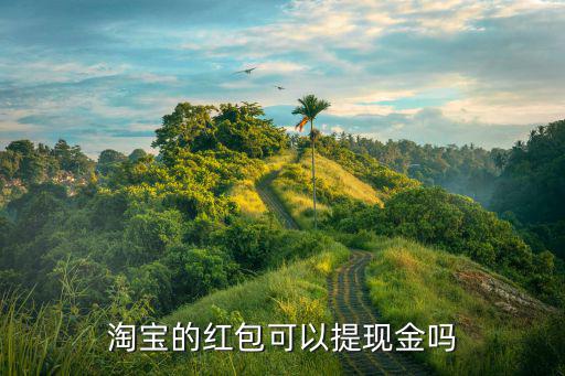 淘宝的红包可以提现金吗