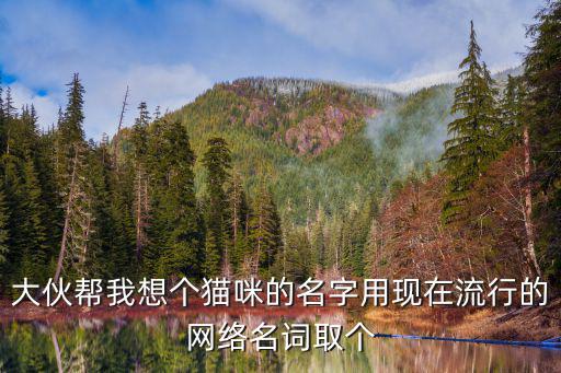 大伙帮我想个猫咪的名字用现在流行的网络名词取个