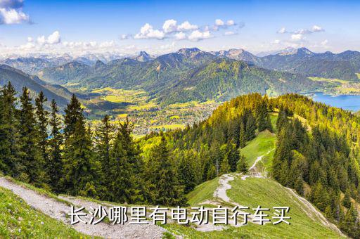 长沙哪里有电动自行车买