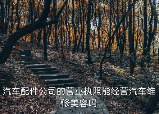 汽车配件公司的营业执照能经营汽车维修美容吗