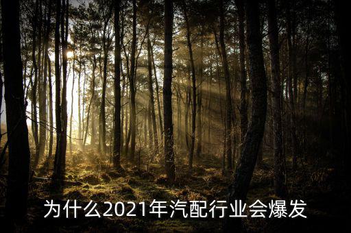 为什么2021年汽配行业会爆发