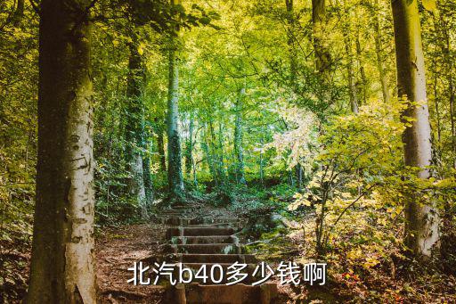 北汽b40多少钱啊