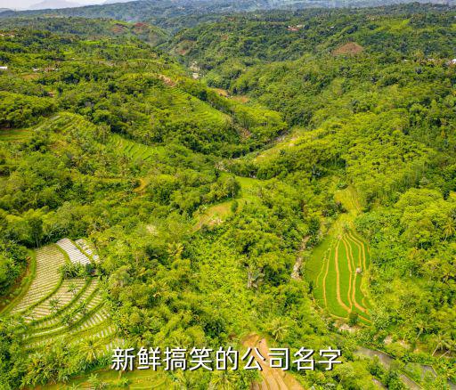 公司名字大全参考搞笑，幽默的公司名称