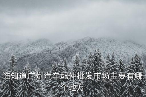 谁知道广州汽车配件批发市场主要有哪个地方