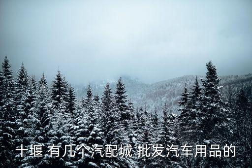 十堰 有几个汽配城 批发汽车用品的