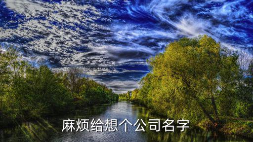 麻烦给想个公司名字