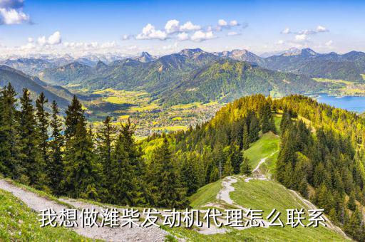 我想做潍柴发动机代理怎么联系