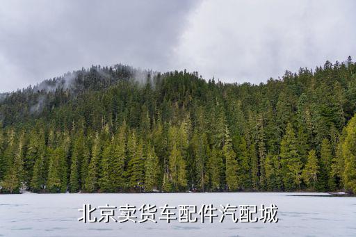 北京卖货车配件汽配城
