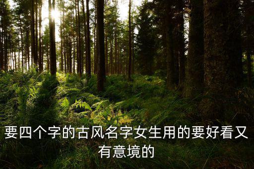 要四个字的古风名字女生用的要好看又有意境的