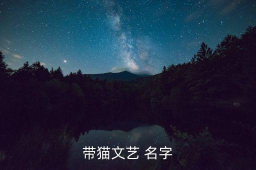 带猫文艺 名字