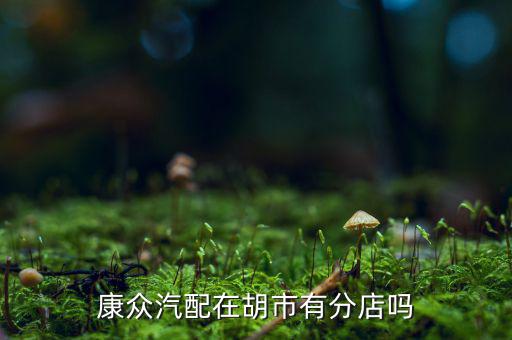 康众汽配在胡市有分店吗