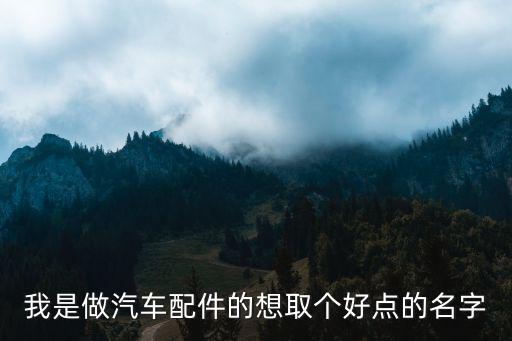 我是做汽车配件的想取个好点的名字