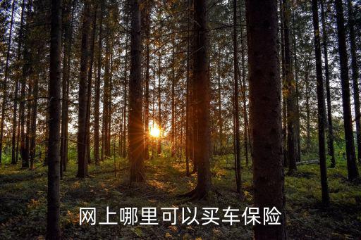 网上哪里可以买车保险