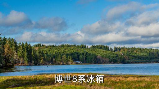 博世冰箱配件价格表，博世冰箱和洗衣机质量及价格怎么样