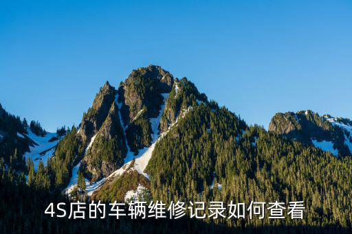 4S店的车辆维修记录如何查看