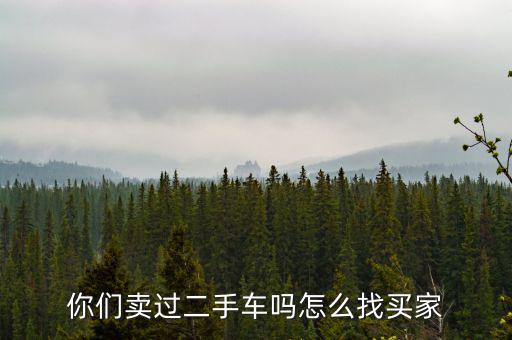 你们卖过二手车吗怎么找买家