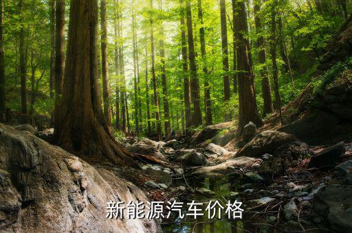 新能源汽车价格