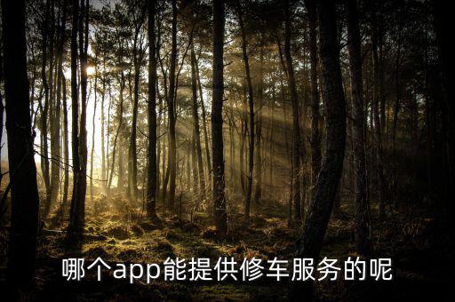 找汽车维修用什么软件，能给汽车换配件app软件有什么