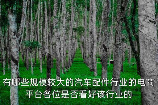有哪些规模较大的汽车配件行业的电商平台各位是否看好该行业的