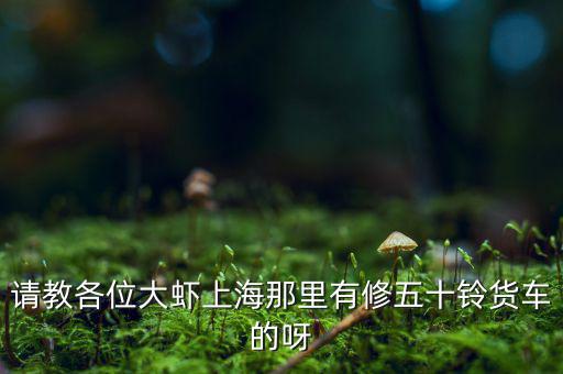 请教各位大虾上海那里有修五十铃货车的呀