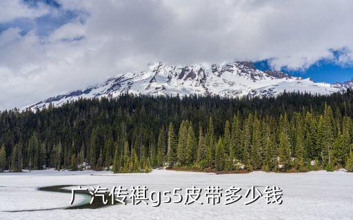 广汽传祺gs5皮带多少钱