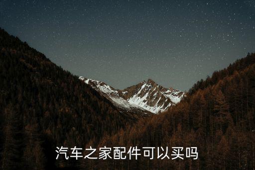 汽车之家配件可以买吗