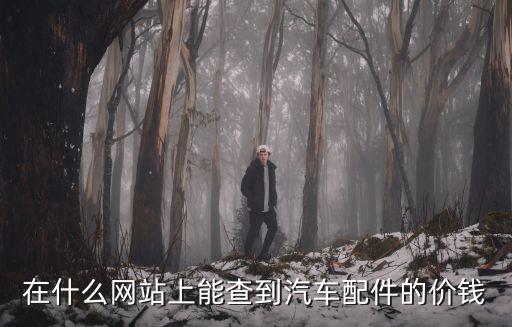 哪里可以看汽车配件价格，在什么网站上能查到汽车配件的价钱