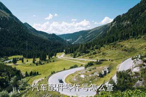 汽车配件零件号怎么查