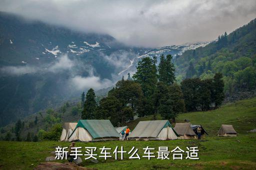 新手买车什么车最合适