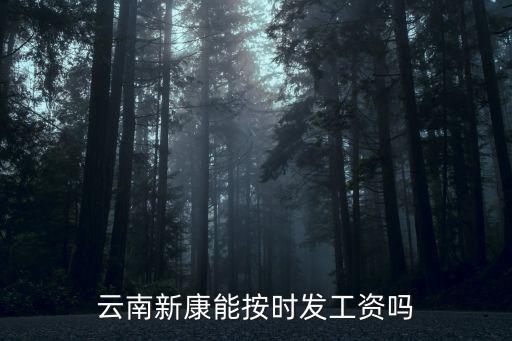 云南新康能按时发工资吗