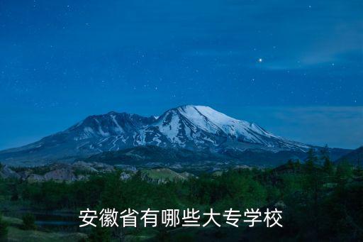 安徽省有哪些大专学校