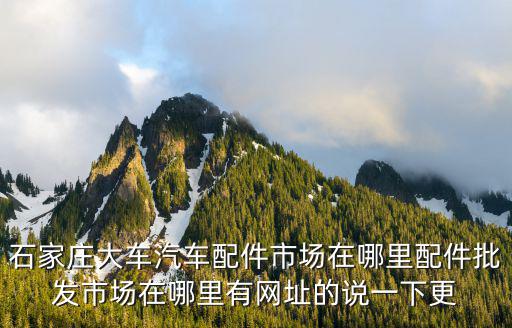 石家庄大车汽车配件市场在哪里配件批发市场在哪里有网址的说一下更