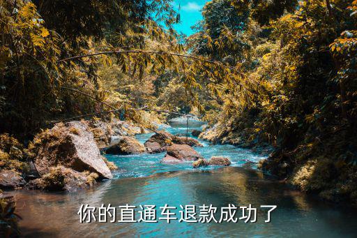 你的直通车退款成功了