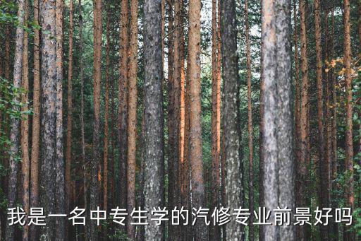 我是一名中专生学的汽修专业前景好吗