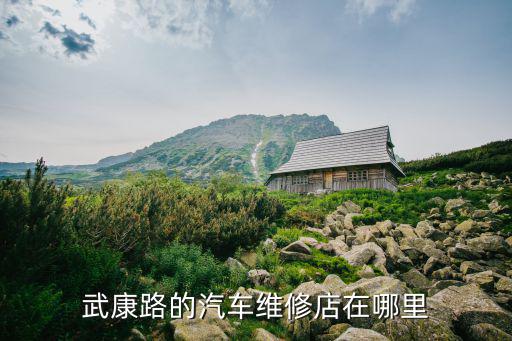 武康路的汽车维修店在哪里