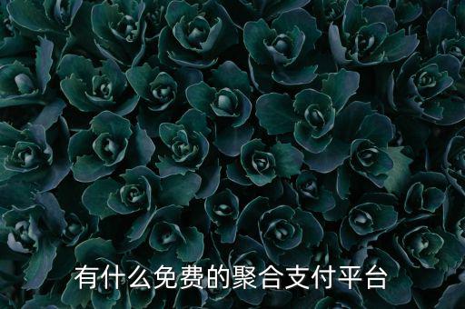 有什么免费的聚合支付平台