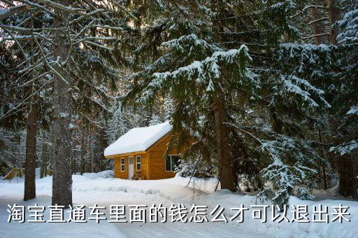 淘宝直通车里面的钱怎么才可以退出来