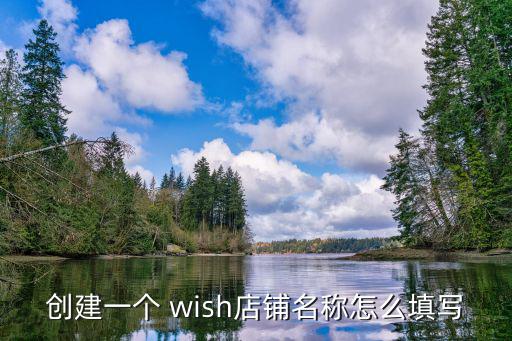 创建一个 wish店铺名称怎么填写