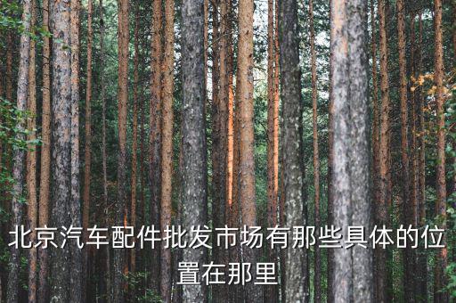 北京汽车配件批发市场有那些具体的位置在那里