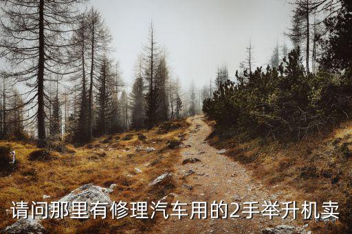 请问那里有修理汽车用的2手举升机卖