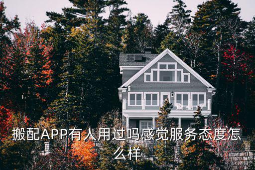 搬配APP有人用过吗感觉服务态度怎么样